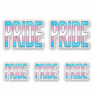 Pegatina Orgullo Trans