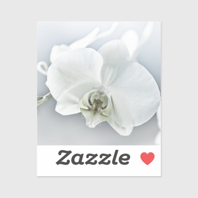 Pegatina Orquídea Phalaenopsis Blanca (Hoja)