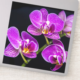 Pegatina Orquídea púrpura
