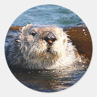 Pegatina Otter
