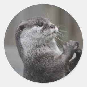 Pegatina Otter Mastermind