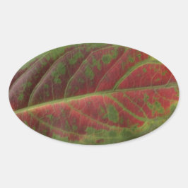 Pegatina oval de cierre de hoja roja, sellador, et