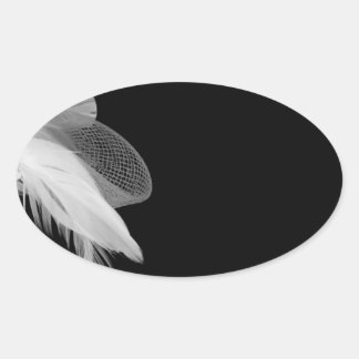Pegatina Oval de plumas blancas
