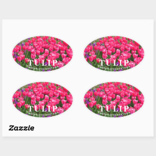 PEGATINA OVALADA