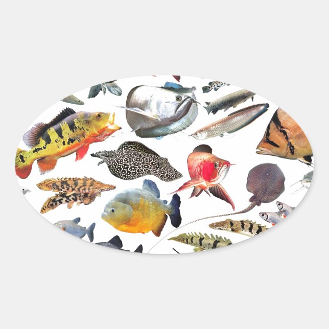 PEGATINA OVALADA 大型熱帯魚 (Anverso)