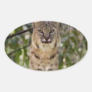 Pegatina Ovalada 3,5x3,5-imán de desplazamiento de plantilla