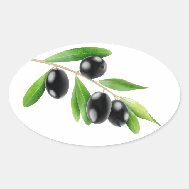 Pegatina Ovalada Aceitunas negras en una rama (Anverso)