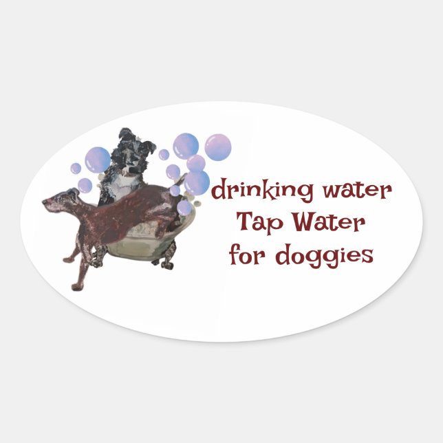 Pegatina Ovalada agua potable del grifo para perros (Anverso)