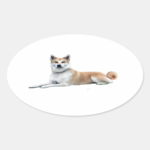 Pegatina Ovalada Akita (Akita Inu) - Tumbado