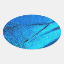 Ala de mariposa azul irlandés