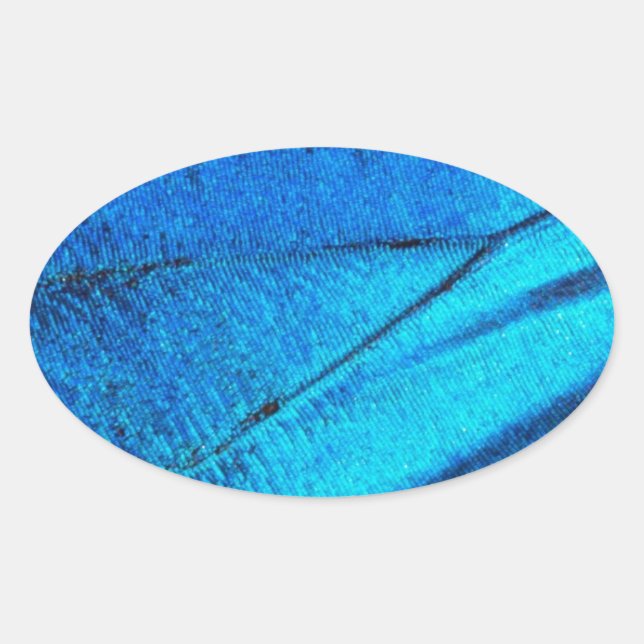 Pegatina Ovalada Ala de mariposa azul irlandés (Anverso)