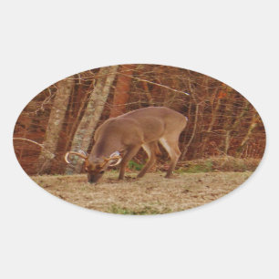 Pegatina Ovalada Alimento de ciervos de buck de camuflaje rojo