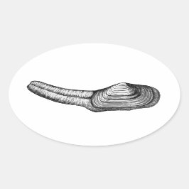 Pegatina Ovalada Almeja de pato (ilustracion blanco y negro)