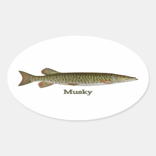 Pegatina Ovalada Almizclado (muskellunge)