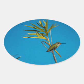 Pegatina Ovalada Alumnaicorus hembra