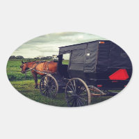 Anoche en una comunidad Amish, caballo Amish