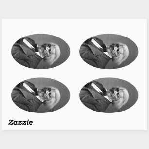 Pegatina Ovalada Antiguo Fr3d3rick Bailey Douglas Héroe Africano Am