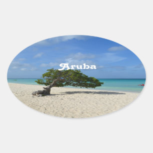 Pegatina Ovalada Árbol de Aruba Divi Divi