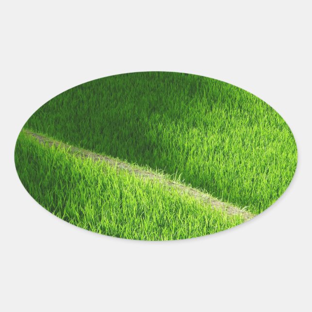 Pegatina Ovalada Arroz con terrazas campos de arroz de Yamada Japón (Anverso)