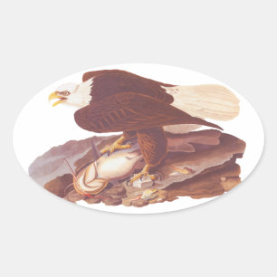 Pegatina Ovalada Audubon Majestic Bald Eagle con pescado fresco