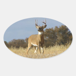 Pegatina Ovalada Autumn Whitetail Buck
