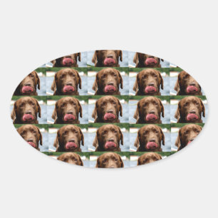 Pegatina Ovalada Azulejos de Chocolate Labrador Retriever BG