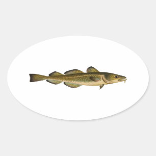 Pegatina Ovalada Bacalao atlántico