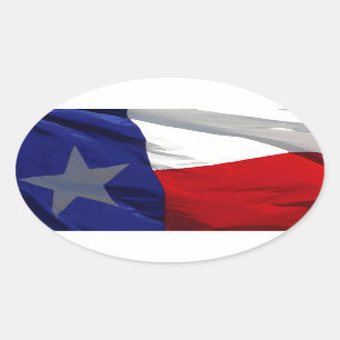 Pegatina Ovalada Bandera de Arte Pop de Texas