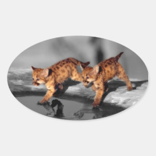 Pegatina Ovalada Bebé leopardo