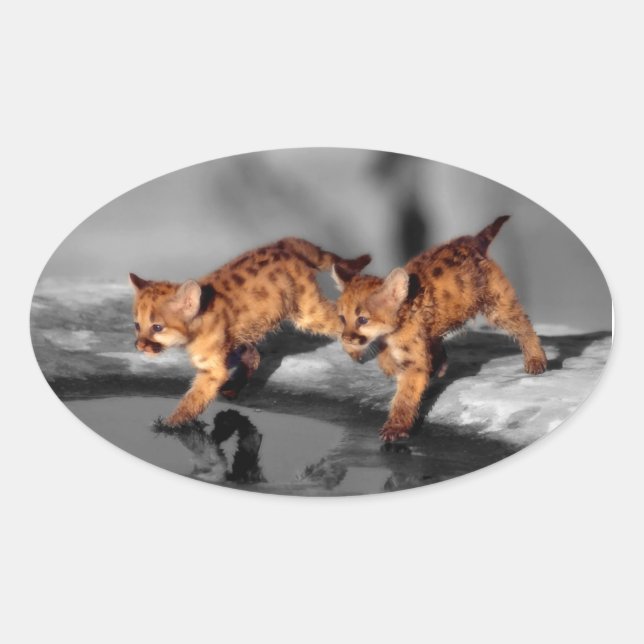 Pegatina Ovalada Bebé leopardo (Anverso)