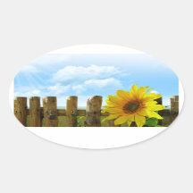Belleza de la naturaleza del girasol
