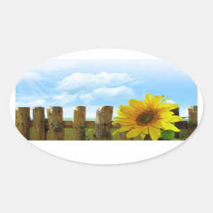 Pegatina Ovalada Belleza de la naturaleza del girasol