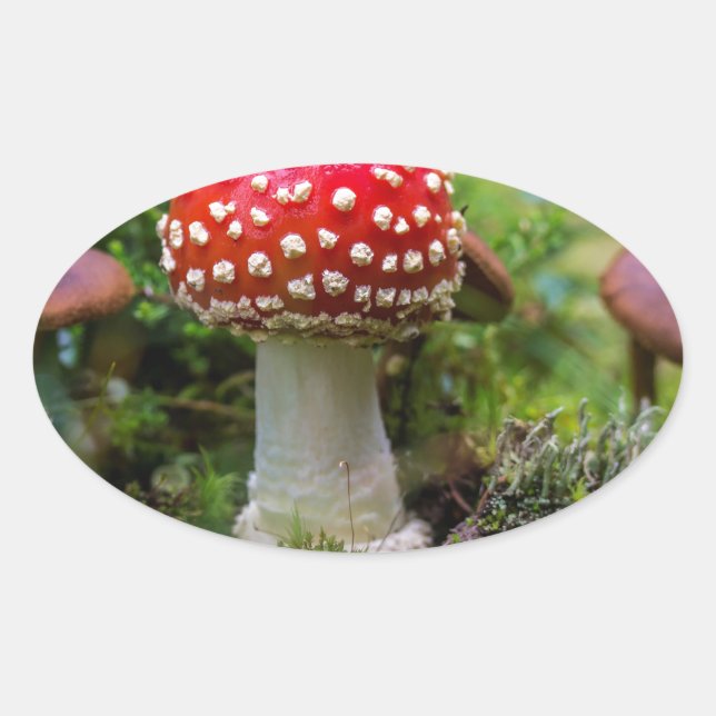 Pegatina Ovalada Belleza de otoño (Anverso)