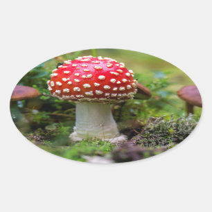 Pegatina Ovalada Belleza de otoño