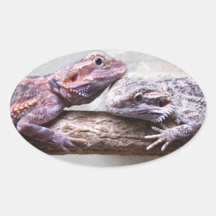 Pegatina Ovalada Bordador Bartagamen