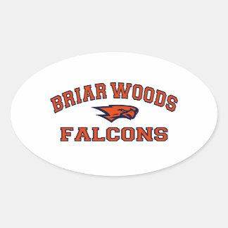 Pegatina Ovalada Briar Woods Falcons