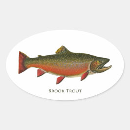 Pegatina Ovalada Brook Trout Male (Fase de desove)