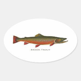 Pegatina Ovalada Brook Trout Male (Fase de desove)