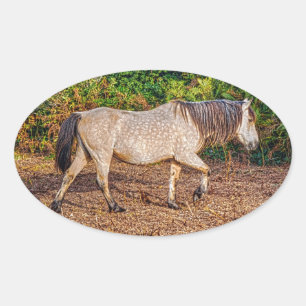 Pegatina Ovalada Buckskin New Forest Pony Wildlife