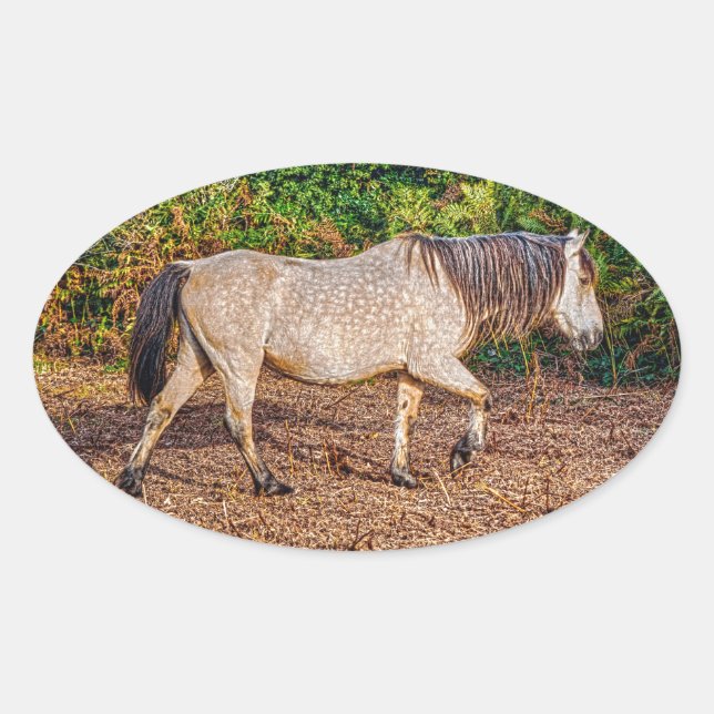 Pegatina Ovalada Buckskin New Forest Pony Wildlife (Anverso)