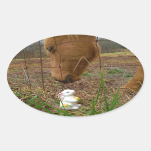 Pegatina Ovalada Buey y flor de primavera Bunny