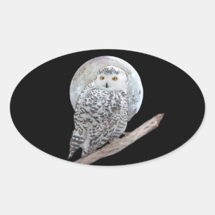 Pegatina Ovalada Búho Nival y Pintura de la Luna - Arte de Pájaros