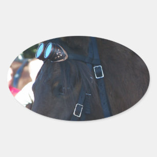 Pegatina Ovalada Caballo árabe marrón oscuro con gafas