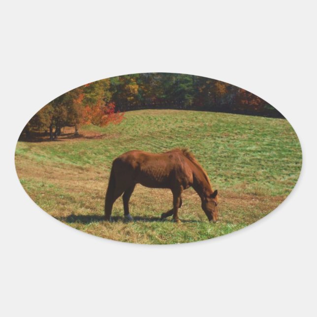 Pegatina Ovalada Caballo marrón rojo, árboles caídos, cielos azules (Anverso)