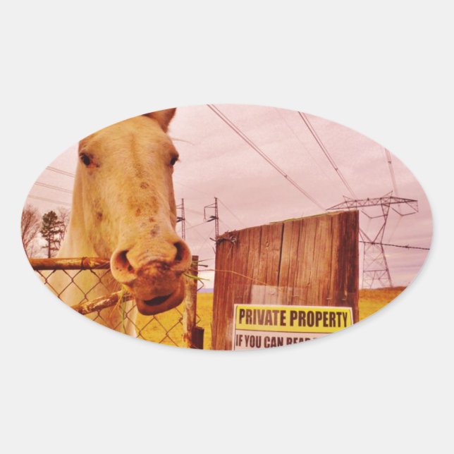 Pegatina Ovalada Caballo Pink Private Property (Anverso)