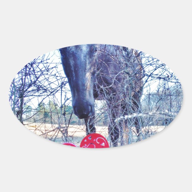 Pegatina Ovalada Caballo y corazón (Anverso)