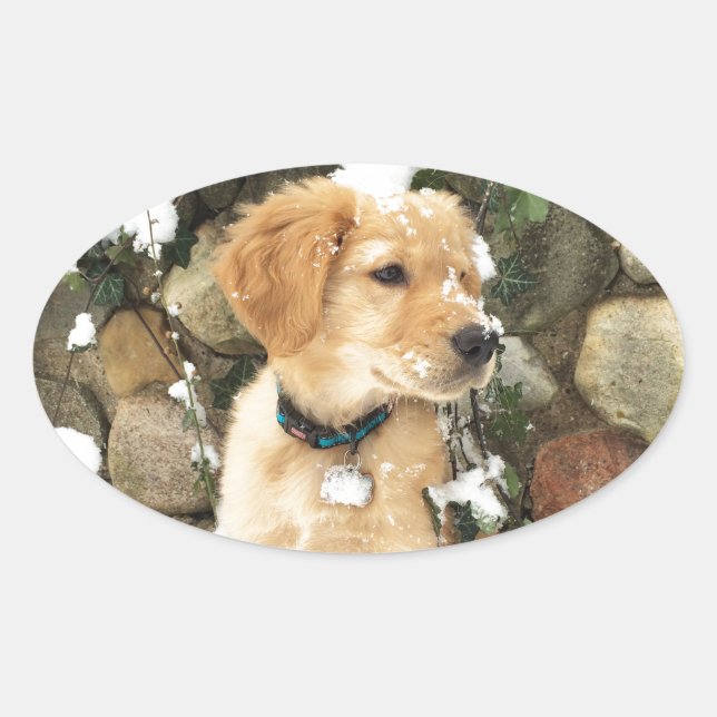 Pegatina Ovalada Cachorro de nieve (Anverso)