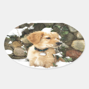 Pegatina Ovalada Cachorro de nieve