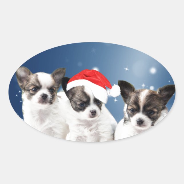 Pegatina Ovalada Cachorros de Chihuahua con Navidades de Santa Hat (Anverso)