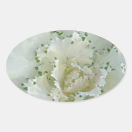 Pegatina Ovalada Cactus